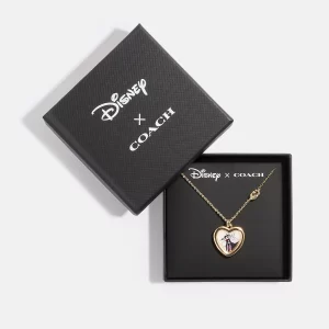 Disney x Coach